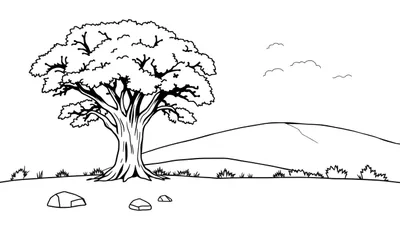Kleurplaat van een zwart-wit lijntekening van een landschap met een grote boom, stenen, gras, glooiende heuvels en wolken.